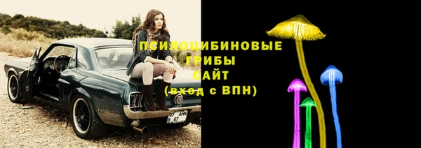 бошки Корсаков