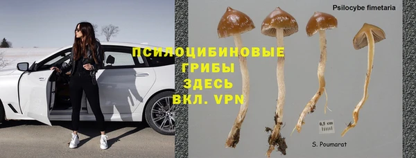 прущая мука Костерёво