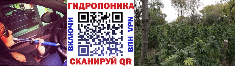 Бошки марихуана AK-47 Мглин